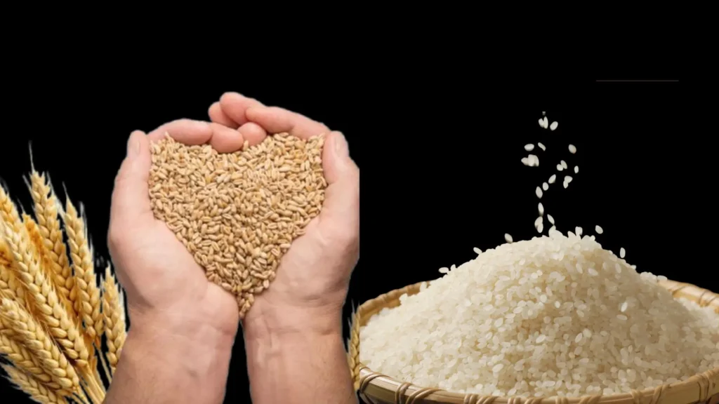 राशन कार्ड पर मिलने वाला अनाज